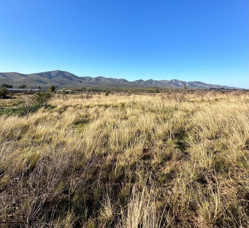 0 Bedroom Property for Sale in Kareedouw Eastern Cape